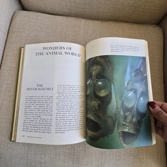 Walt Disney's Books "STORIES FROM OTHER LANDS" "WORLDS OF NATURE" 1965 - Picture 10 of 12